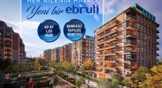 Ebruli Başakşehir